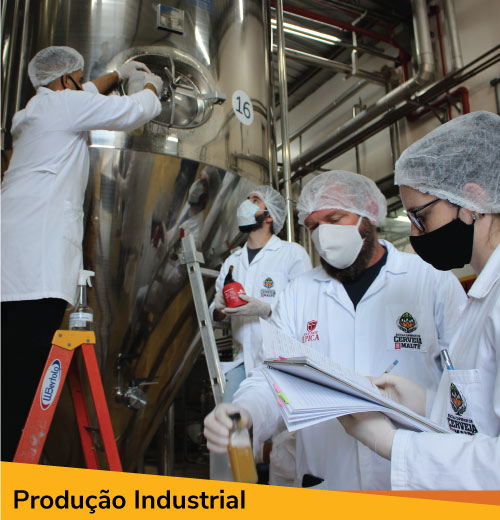 curso de produção de cerveja industrial