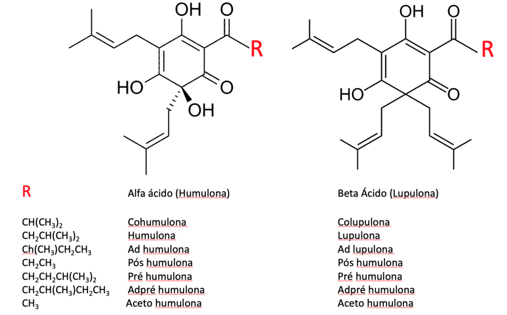 Estrutura molecular de todos os ácidos alfa e beta ácidos conhecidos até o momento. 